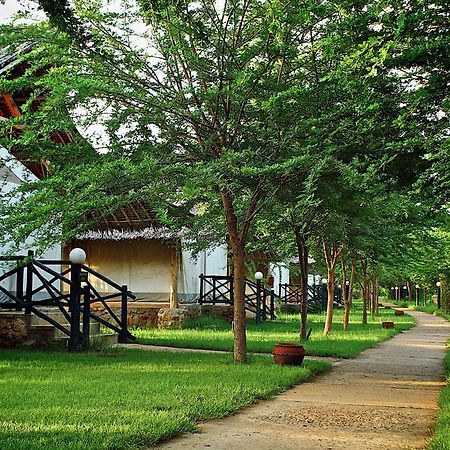 Hotel Manyatta Camp Voi Exterior foto